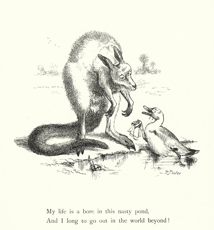 De Eend En De Kangoeroe (gravure) door William Foster