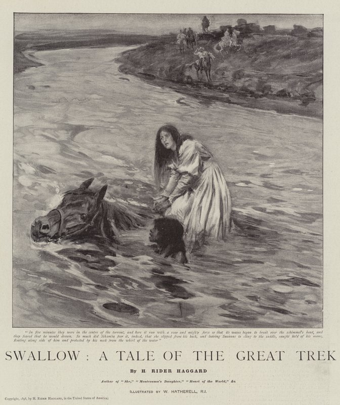 Zwaluw, een verhaal van de Grote Trek door William Hatherell
