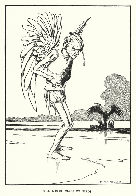 De lagere klasse van vogels door William Heath Robinson