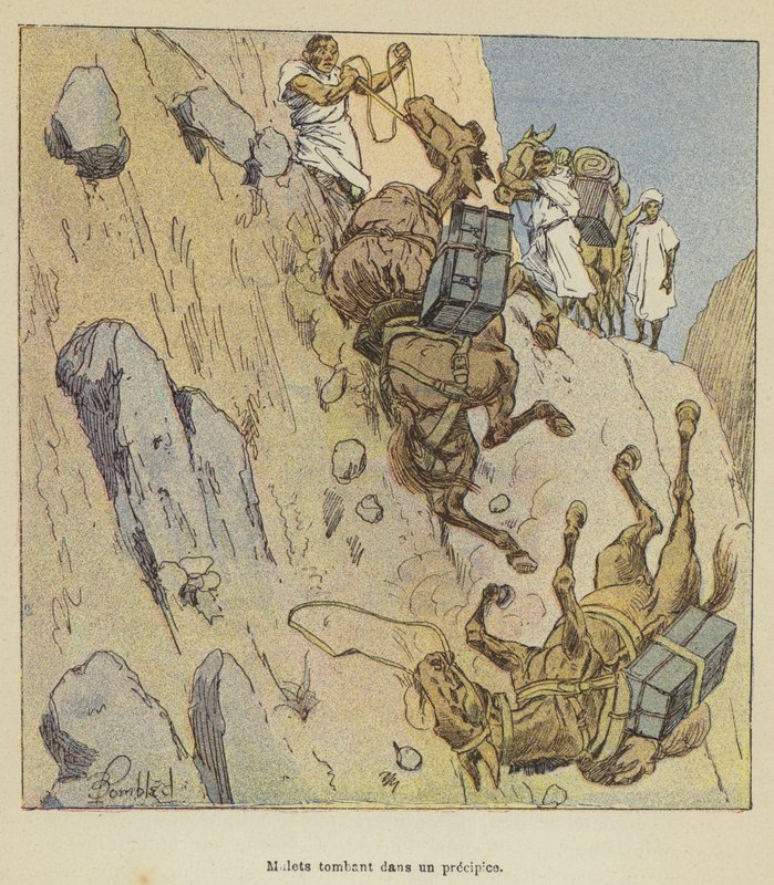 Muilezels die in een afgrond vallen door after Louis Charles Bombled