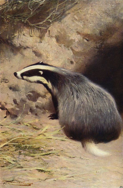 Das door after Wilhelm Kuhnert